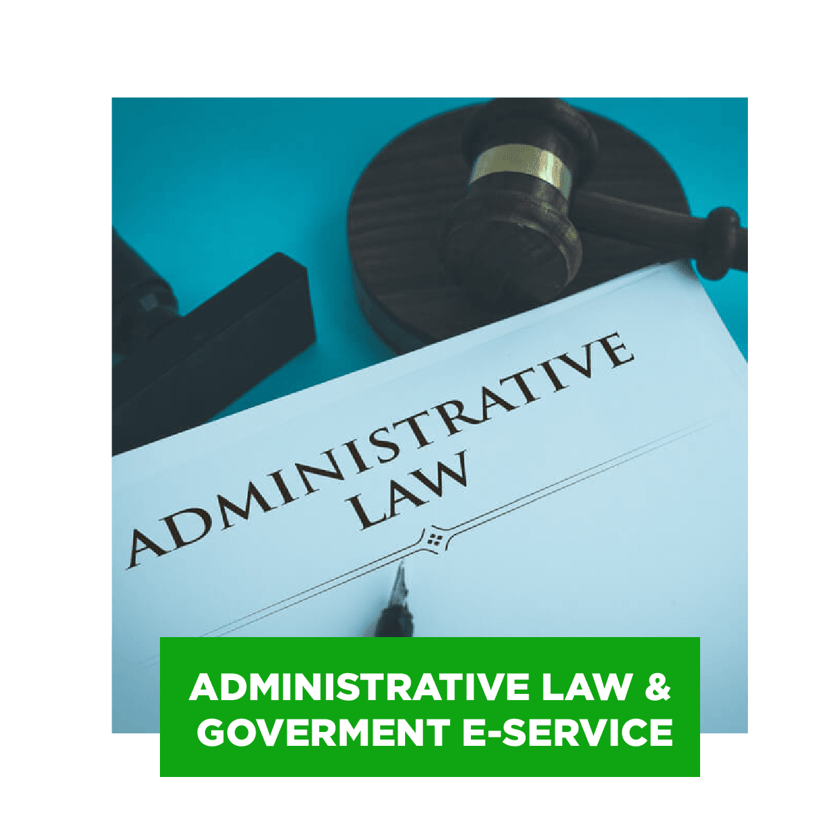 Administrative Law & Government E-Services
