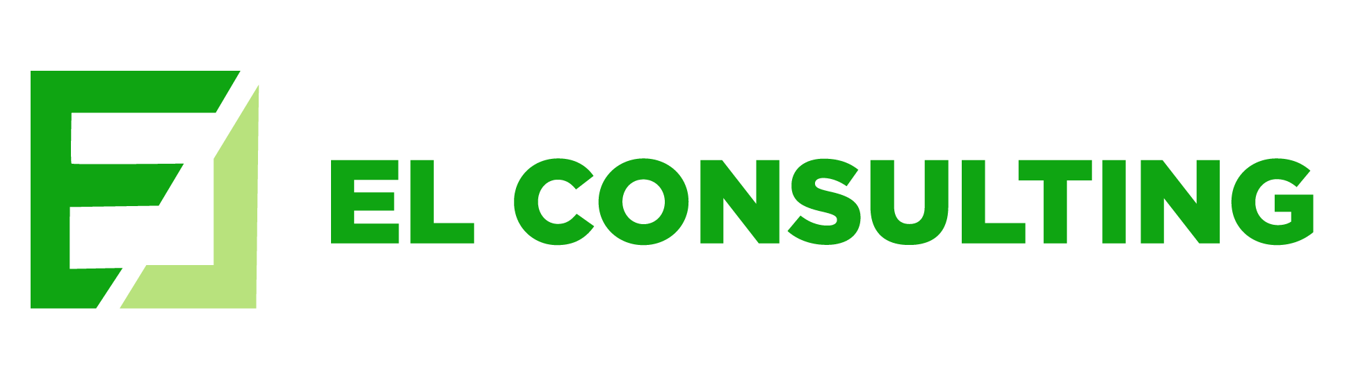 EJL Consulting